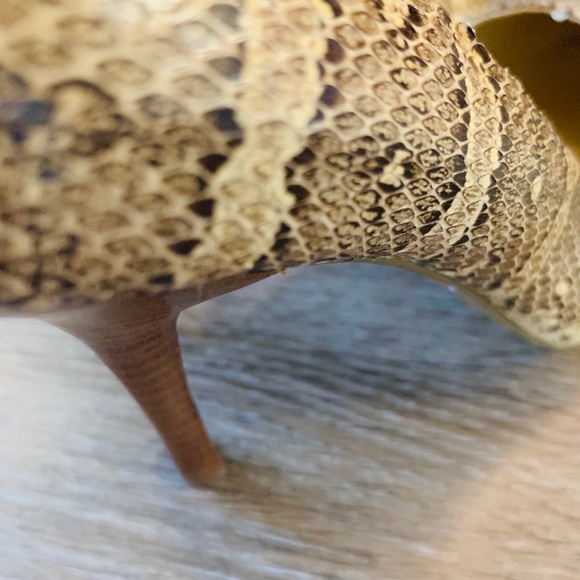 Guess Heels - Picture 4 of 5